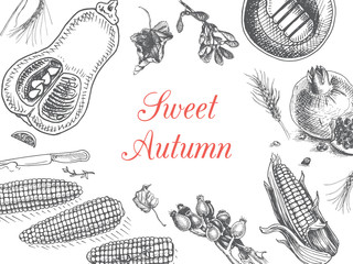 Autumn illustration, sketch - seasonal food, fruits, vegetables.