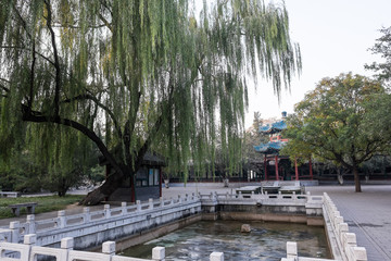 Zhongshan Park. Beijing, China