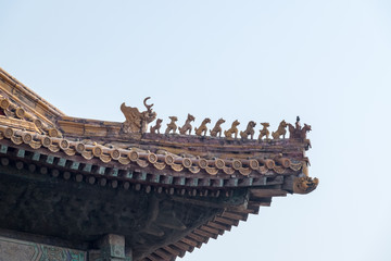 Fototapeta na wymiar Roofs of the Forbidden City. Beijing, China