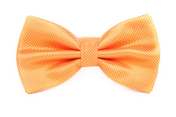 orange tie bow for party, birthday, funny bow