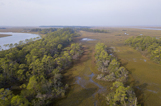 aerial view of coastal salt marsh and forest