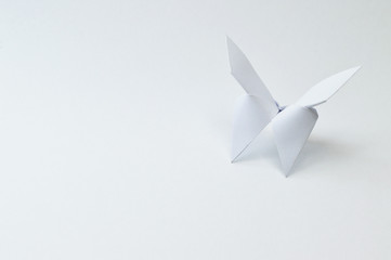origami butterfly close up on white background - obrazy, fototapety, plakaty