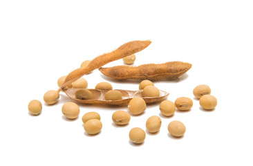dry soy beans isolated