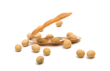 dry soy beans isolated