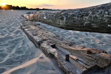 sunset and wooden logs on the beach brought by the water