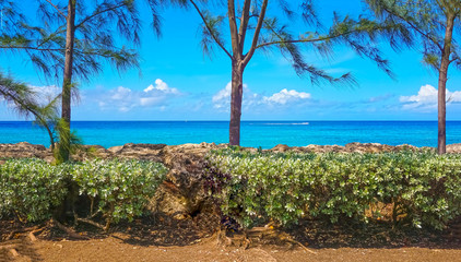 The tropical beach, Barbados, Caribbean