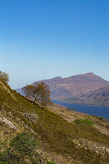 Fototapeta na wymiar View over Loch Maree from a hiking trail in Beinn Eighe National Nature Reserve