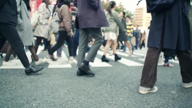 渋谷、スクランブル交差点、歩く、横断歩道、交差点、日本、東京、旅行、インバウンド