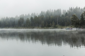 Landschaft spiegelt sich im See bei Nebel