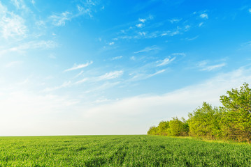 blue sky with clouds in sunset over green field