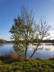 Walks in the Cotswolds - English Countryside