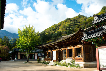 Obraz premium 백담사 가을 기와집 기와 풍경 