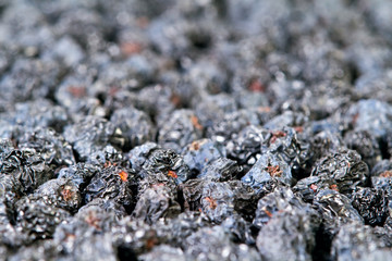 Texture of dried black aronia berries