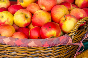 Healthy Organic Apples in the Basket