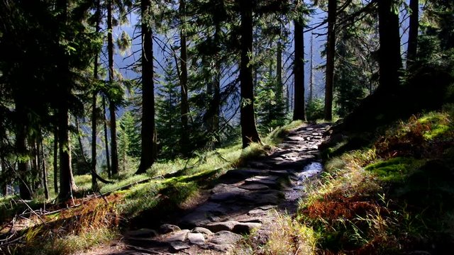 Wanderweg im Riesengebirge