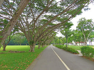 Photo taken in Singapore. East Coast Park Singapore