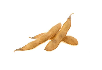 Fototapeta premium soybean pods isolated on white background
