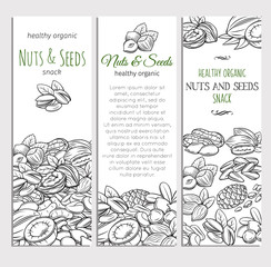 hand drawn sketch nuts and seeds
