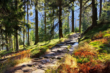 Wanderweg im Riesengebirge - hiking trail in Giant Mountains