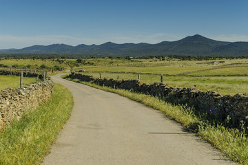 Fototapeta na wymiar road in the pastures of the sierra of Saint Peter in Caceres, Spain.