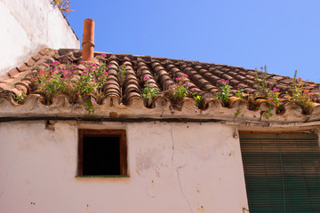 House. Spanish style house. Costa del Sol, Andalusia, Spain.