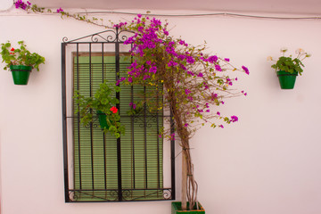 House. Spanish style house. Costa del Sol, Andalusia, Spain.