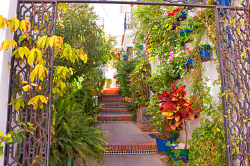 Street. Beautiful Spanish street. Costa del Sol, Andalusia, Spain.