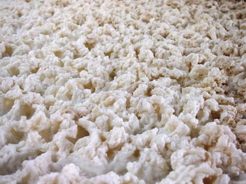 Closeup of a foam during fermenting of a beer in an open fermenters in a brewery.
