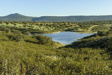 pond in the pastures of the range of Saint Peter in Caceres, Spain.