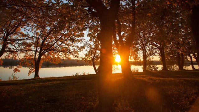 Beautiful sunset over lake in Russia