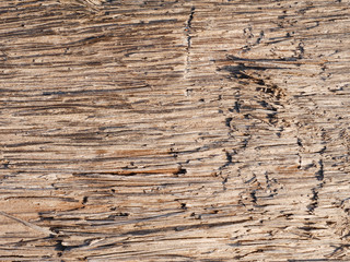 Naklejka premium wood surface background
