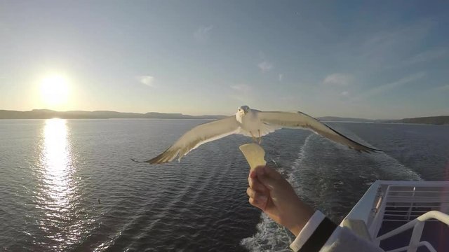 Seem&ouml;we f&uuml;ttern