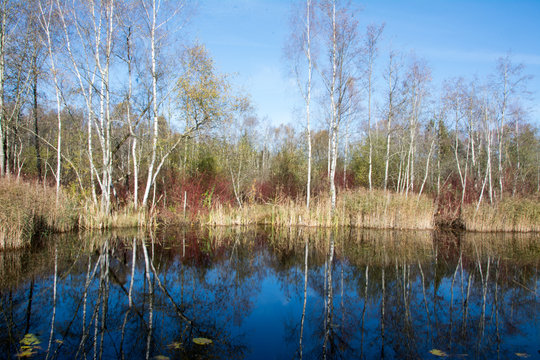 Spiegelbild im Wasser