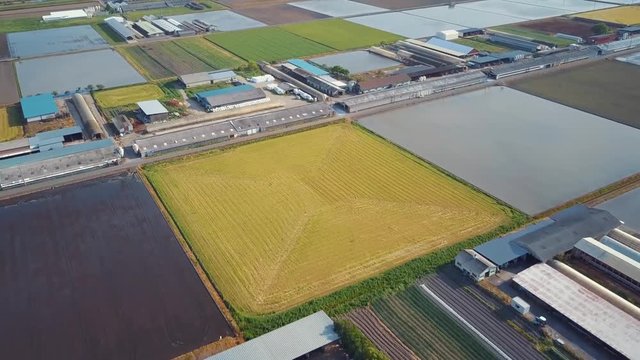 Agriculture Aerial, Japan Rice Fields And Dairy Farms 