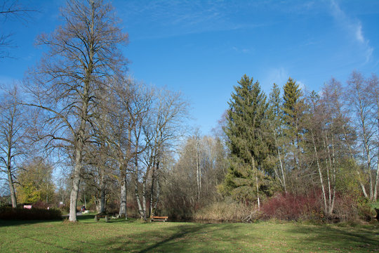 B&auml;ume im Herbst