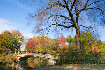 Scenic Bow Bridge in Central Park New York City with colorful autumn leaves