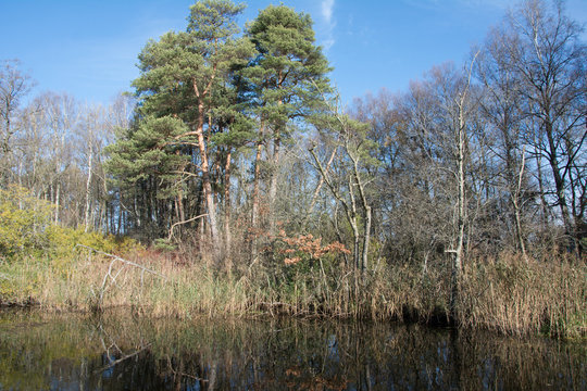 See im Herbst