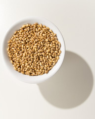 Barley cereal grain. Grains in a bowl. Shadow over white table.