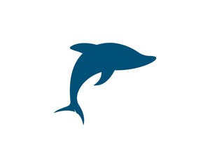 Dolphin logo icon vector