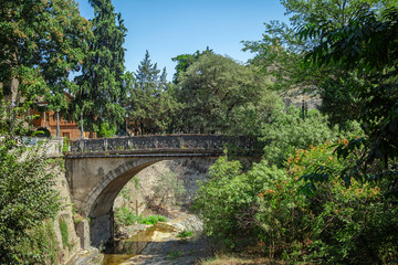 Botanical garden in Tbilisi, Georgia