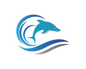 Dolphin logo icon vector