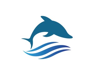 Dolphin logo icon vector