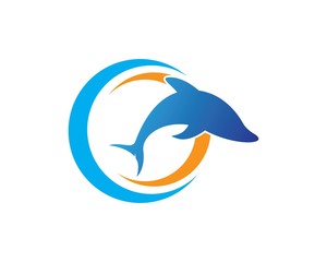 Dolphin logo icon vector