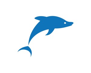 Dolphin logo icon vector