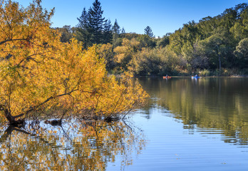 Blue lake with autumn colors. Two kayaks are in the water. A bright yellow orange tree is leaning into the water. A blue sky is in the background.