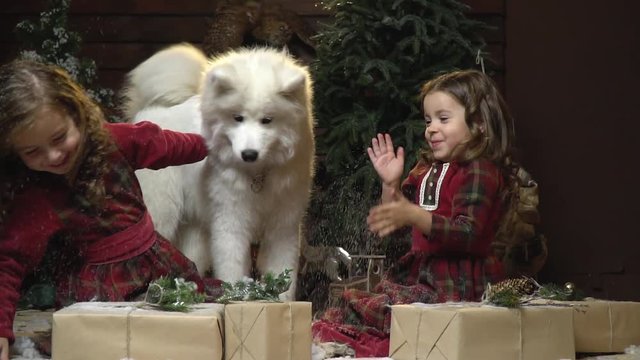 Two girls in dresses and a samoyed dog are having fun in a room with Christmas presents and snow, slow motion
