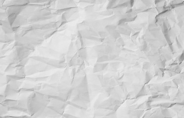 Crumpled sheet of paper