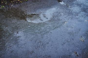 water puddles with raindrops and water circles on wet asphalt road