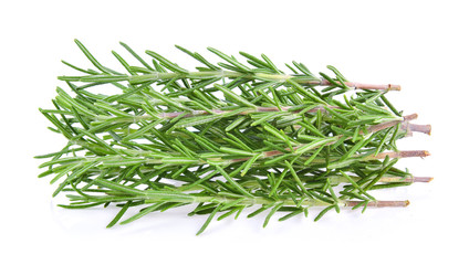 Rosemary isolated on white background