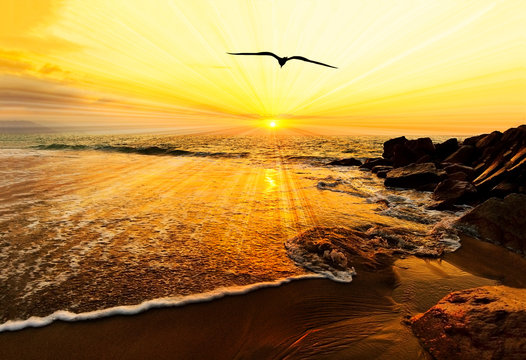 Divine Image Bird Flying Inspirational Flight Spiritual Surreal Sun Light Beach